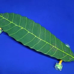 Ghost Long Board CLEAR COMPLETES Ghost Boards X Special Boards Leaf