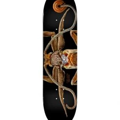 Ghost Long Board Powell Peralta Biss Marion Moth Deck - 8.25" X 31.95"