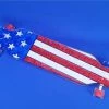 Ghost Long Board CLEAR COMPLETES 40" Platypus American Flag Resin Board