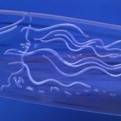 Ghost Long Board CLEAR COMPLETES 40" Wheel Cut Jellyfish, Resin