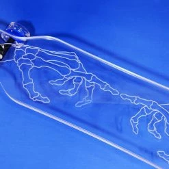 Ghost Long Board CLEAR COMPLETES Skeleton Hand