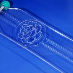 Ghost Long Board CLEAR COMPLETES Succulent